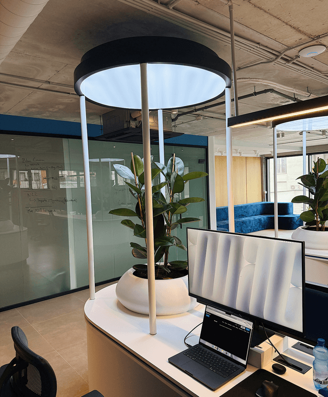 Central soft offices