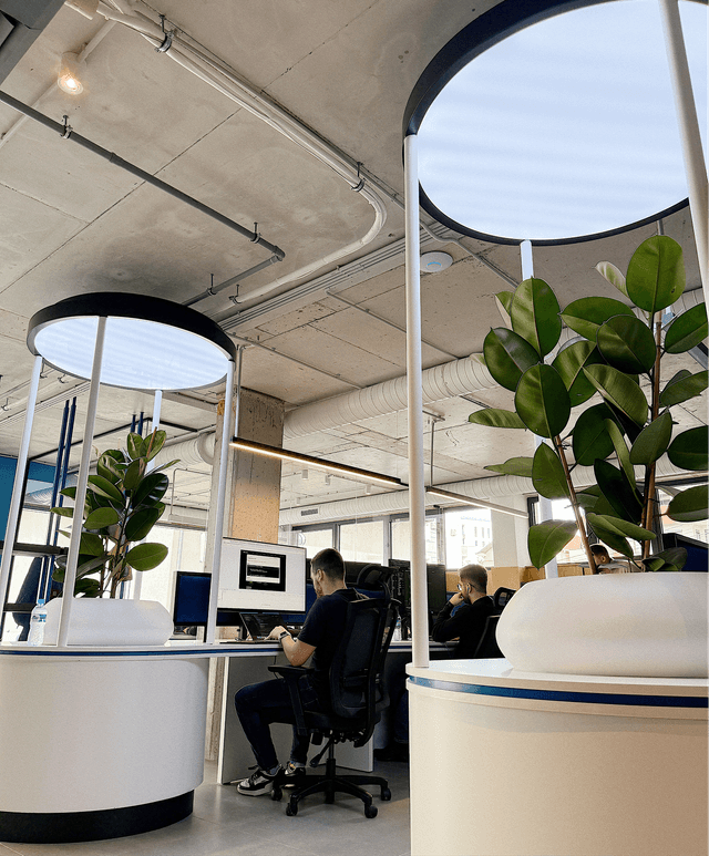 Central soft offices